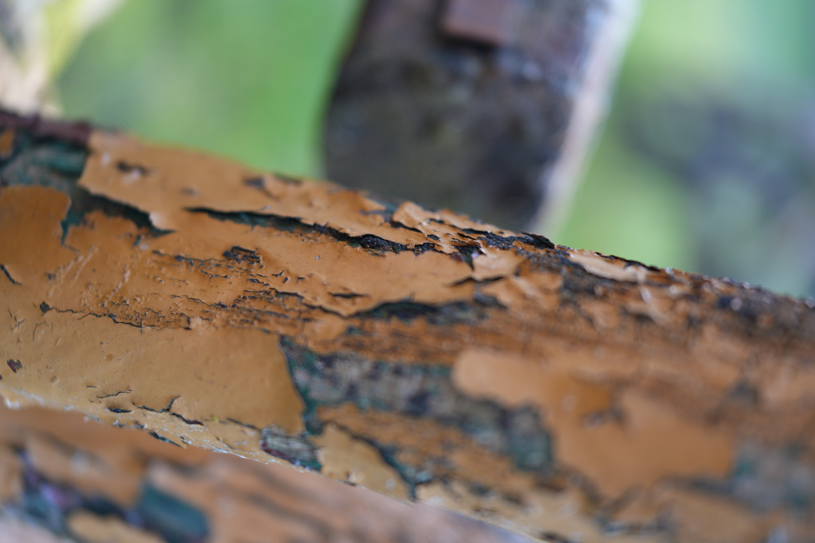 1/50 s, f/2.8, ISO 100, 50.0 mm