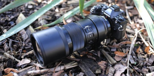 Bezkrwawe safari z M.Zuiko DIGITAL ED 300 mm f/4 IS PRO [zdjęcia przykładowe]