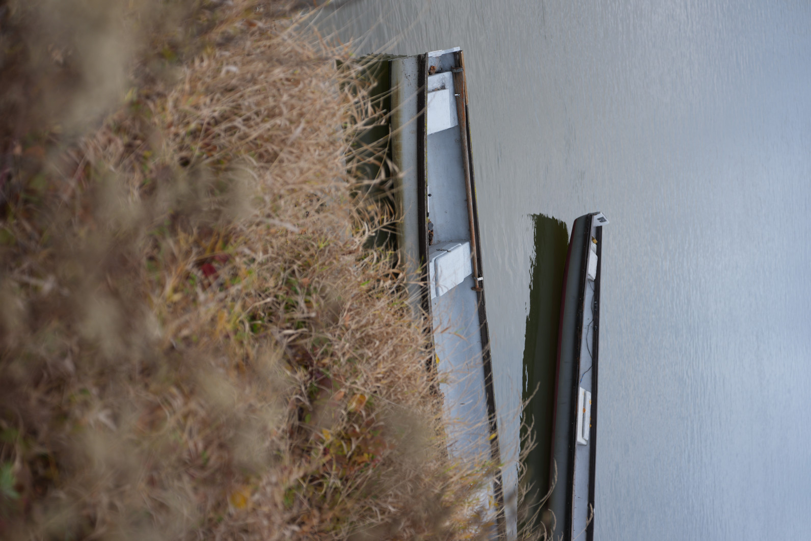1/250 s, f/2, ISO 100, 61.0 mm