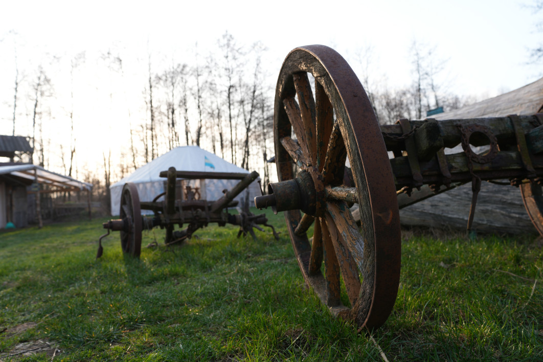 1/80 s, f/5.6, ISO 100, 24.0 mm