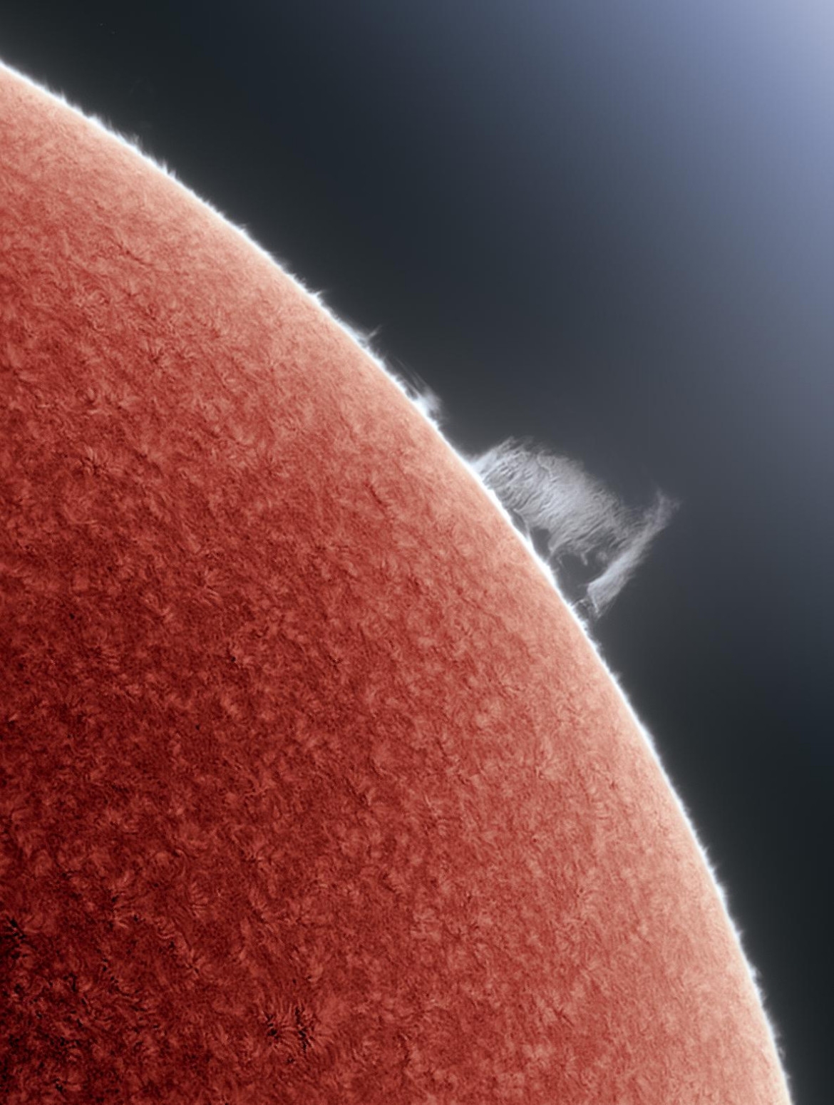 fot. Alan Friedman, "Curtain of Hydrogen", 3. miejsce w kat. Our Sun<br></br><br></br>Ta piękna, duża protuberancja ozdabiała Słońce przez kilka dni i została zarejestrowana w dobrych warunkach obserwacyjnych