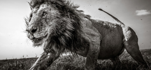 Sony World Photography Awards 2021 - zdjęcia finalistów