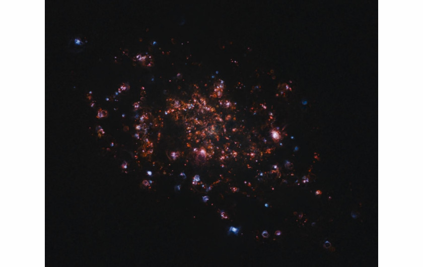 fot. Russel Croman, The Nebulae of the Triangulum, 2. miejsce w kat. Galaxies- W idealnych warunkach możliwe jest zobaczenie tej galaktyki gołym okiem, mimo że znajduje się ona w odległości ponad dwóch i pół miliona lat świetlnych – mówi Russell. - Większość zdjęć koncentruje się na jaskrawości i jasności miliardów gwiazd znajdujących się w ich wnętrzu. Tutaj mamy coś innego, co podkreśla delikatną mgławicę galaktyki. Planety formujące się wokół nowych gwiazd w tych gwiezdnych żłobkach mogą pewnego dnia tętnić własnym życiem.