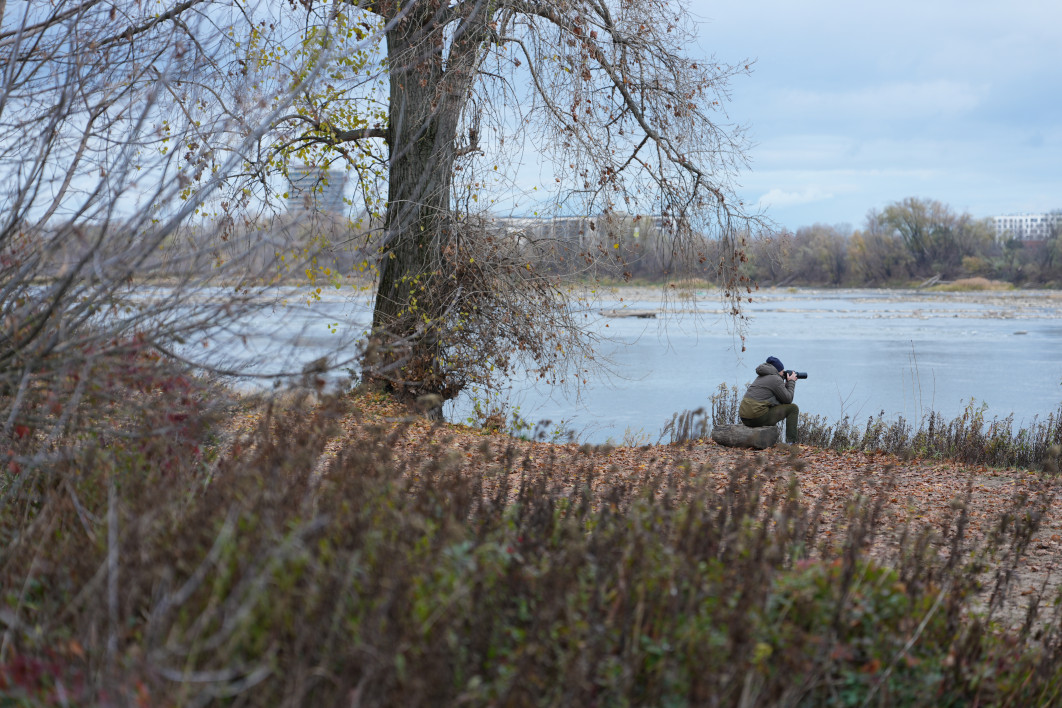1/160 s, f/2, ISO 100, 70.0 mm
