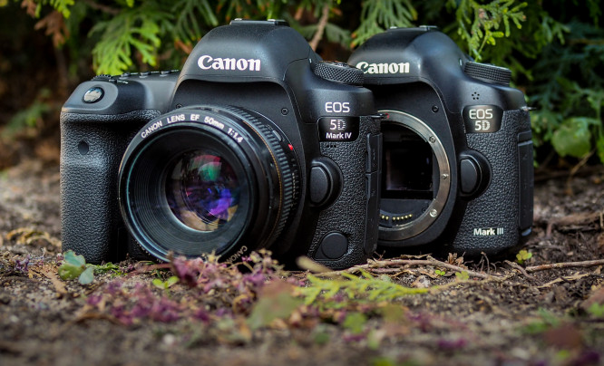  Czy Canon EOS 5D Mark IV to godny następca „trójki“? [TESTY STUDYJNE]