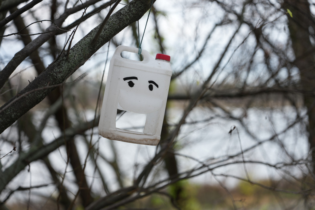 1/100 s, f/2, ISO 100, 70.0 mm