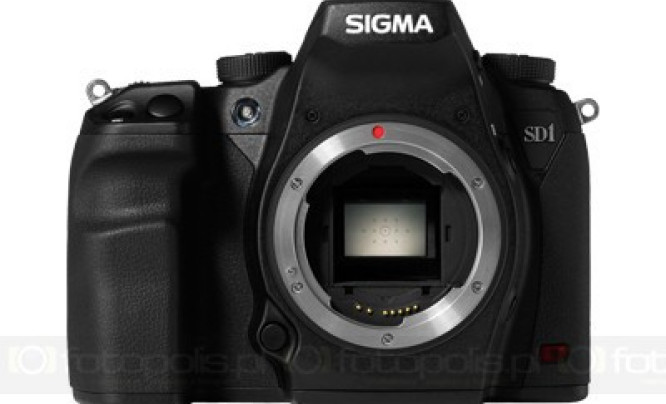 Sigma SD1 - 3x15 Mp w uszczelnionym korpusie