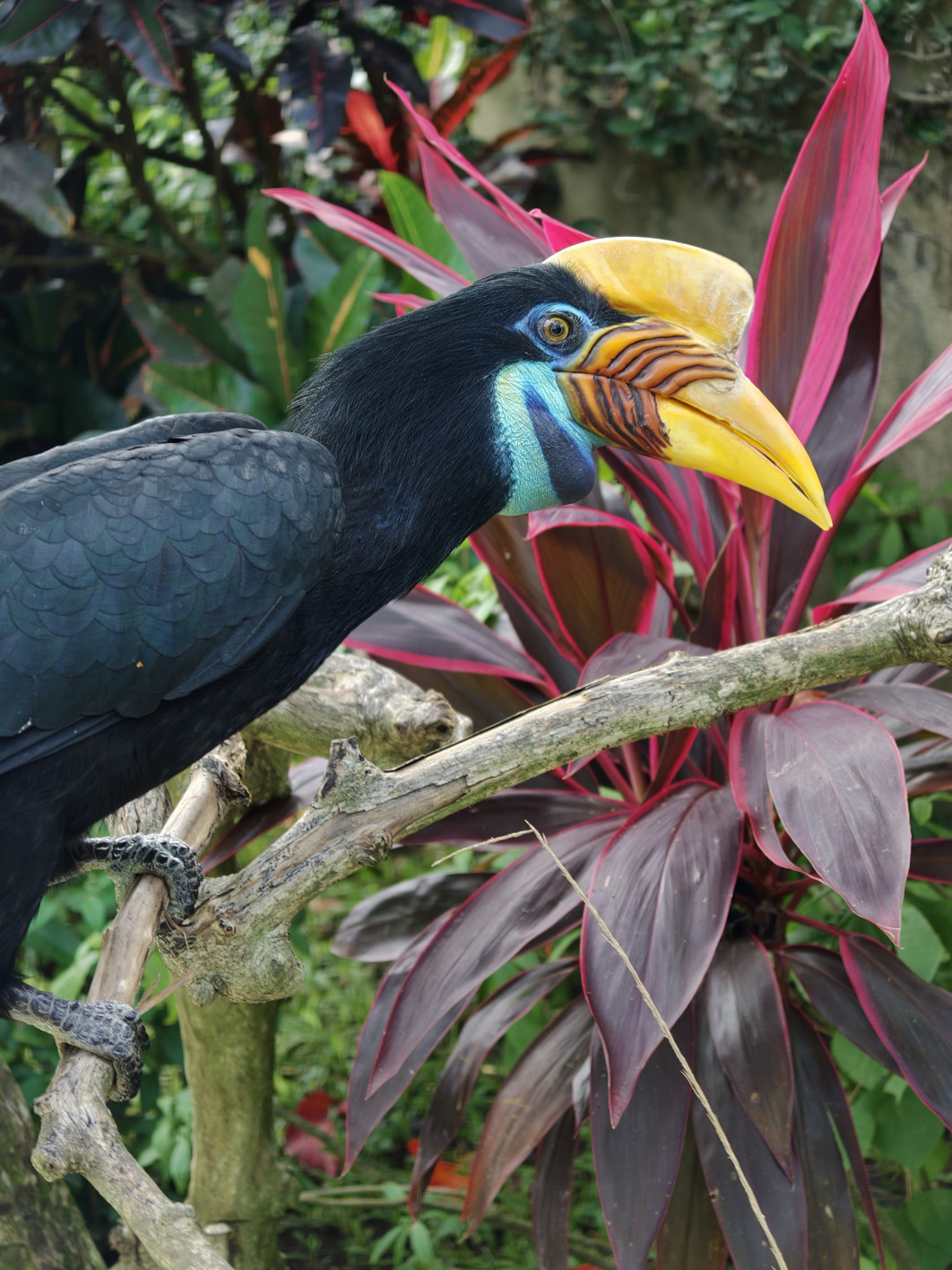 1/100 s, f/2.1, ISO 250, 70 mm