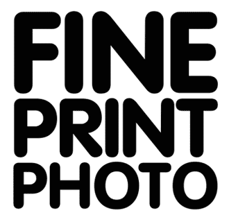 Bezpłatne warsztaty fotograficzne w Puszczy Noteckiej