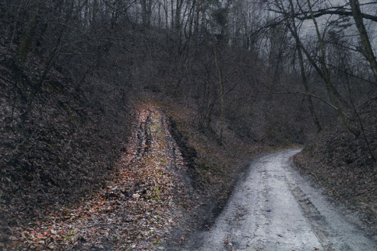 fot. Tomek SIkora