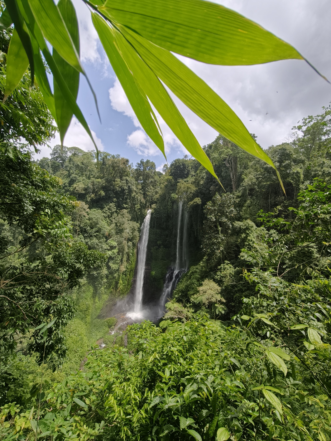 1/374 s, f/2, ISO 50, 15 mm