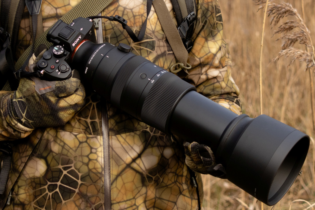 Sigma 60-600 mm f/4.5-6.3 DG DN OS Sports - pierwsze wrażenia i zdjęcia przykładowe (RAW)