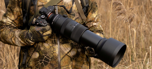 Sigma 60-600 mm f/4.5-6.3 DG DN OS Sports - pierwsze wrażenia i zdjęcia przykładowe (RAW)