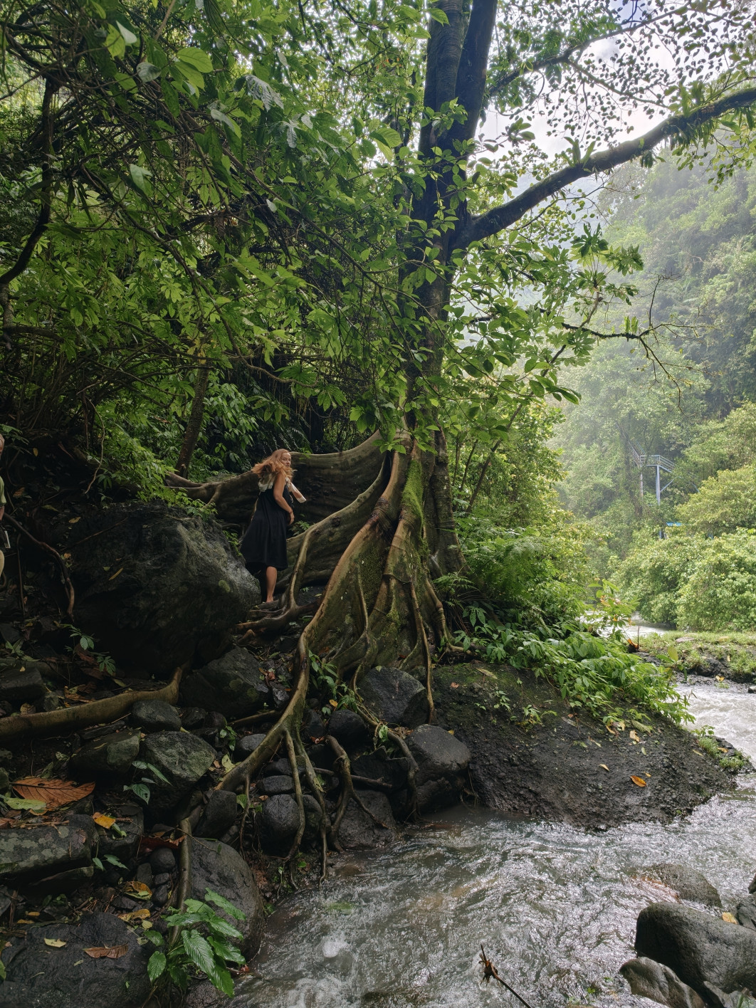 1/200 s, f/1.5, ISO 125, 23 mm