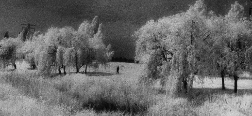 Retrospektywa Edwarda Hartwiga w Radomiu. Odkryto nieznane zdjęcia fotografa
