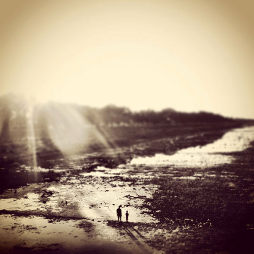 Viva Photo Award 2013 - wyniki