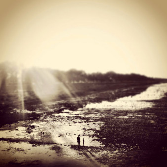 Viva Photo Award 2013 - wyniki