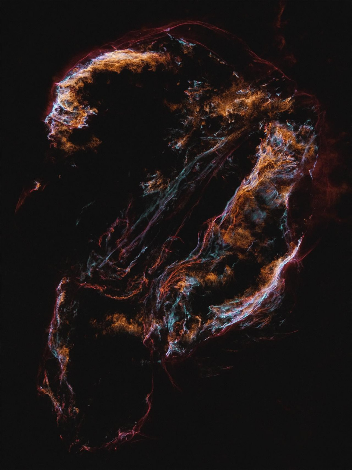 fot. Min Xie, "The Colour Splash of Cygnus", 3. miejsce w kat. Start and Nebulae<br></br><br></br>