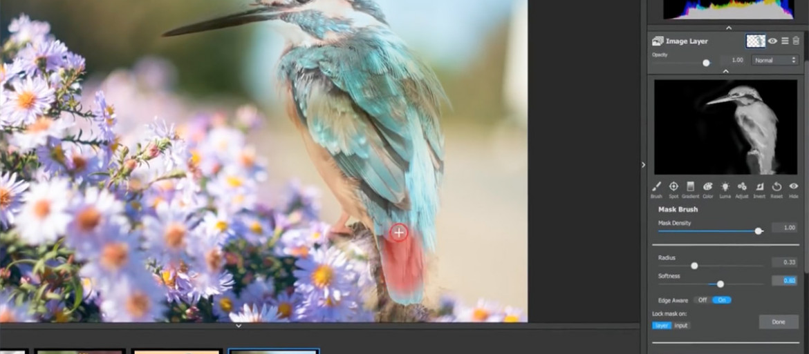 Topaz Labs Studio Nowy Ciekawy I Darmowy Edytor Zdjęć Raw