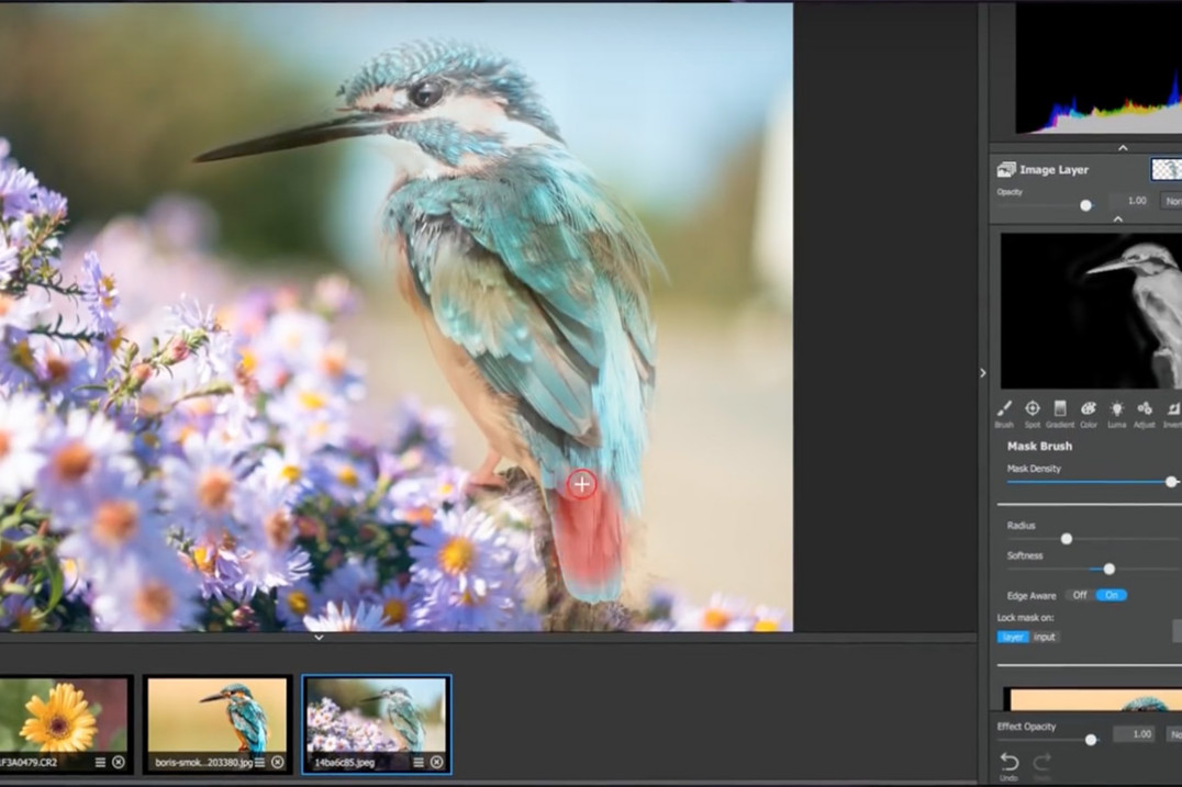 Topaz Labs Studio - nowy ciekawy i darmowy edytor zdjęć RAW