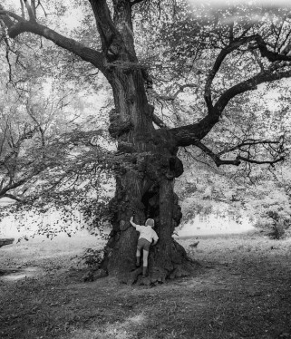 „Powroty. Z archiwum Pawła Pierścińskiego” - nieznane zdjęcia mistrza polskiego krajobrazu