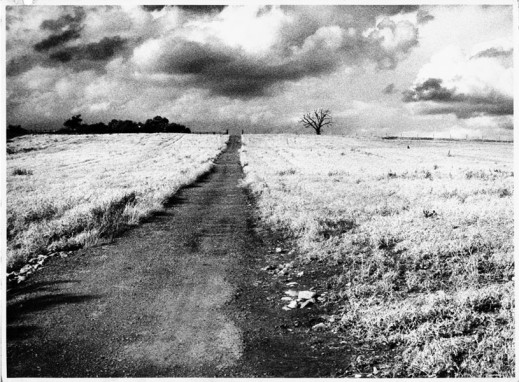 Wystawa fotografii Zygmunta Baumana w Galerii Wysokich Napięć