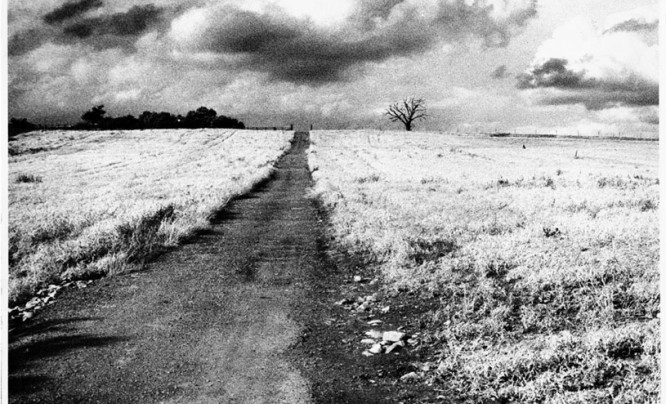  Wystawa fotografii Zygmunta Baumana w Galerii Wysokich Napięć
