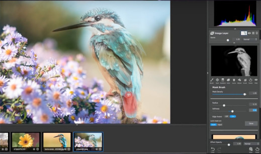 Topaz Labs Studio - nowy ciekawy i darmowy edytor zdjęć RAW