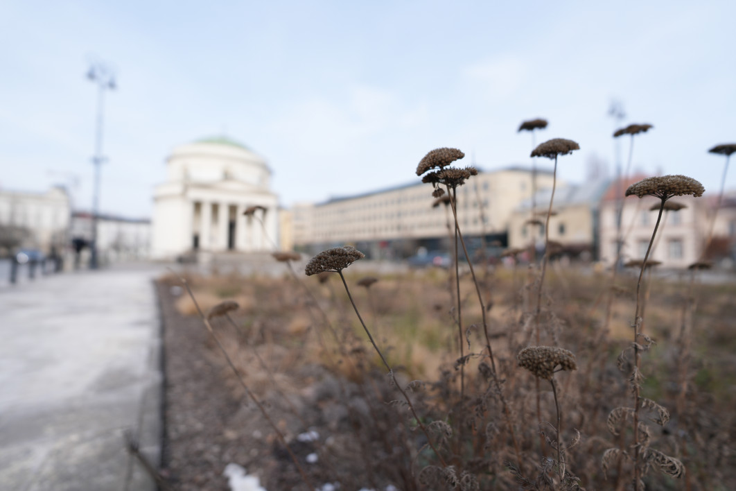 1/2000 s, f/1.8, ISO 100, 16.0 mm