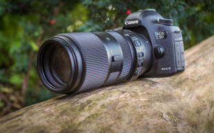 Sigma 100-400 mm f/5-6.3 DG OS HSM Contemporary - test obiektywu