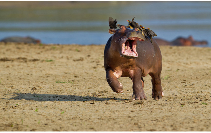 fot. Marc Mol