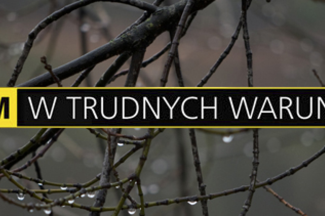 Fotografowanie w deszczu - odcinek VI