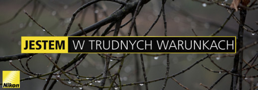 Fotografowanie w deszczu - odcinek VI